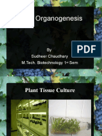 Plant organogenesis