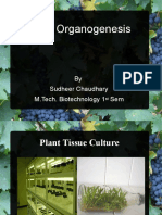 Plant Organogenesis: by Sudheer Chaudhary M.Tech. Biotechnology 1 Sem