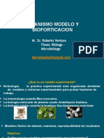 Organismo Modelo Biofortificacion