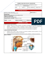 GUIA 1 - Musculatura de Deglucion