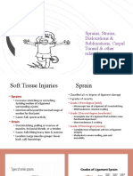 Sprains, Strains, Dislocations & Subluxations, Carpal Tunnel & Other Related Injuries