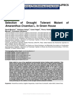 Selection of Drought Tolerant Mutant of Amaranthus Cruentus L. in Green House