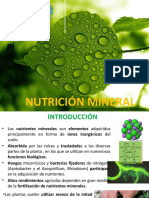 Capitulo 5 Nutricion Mineral