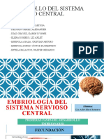 Embriologia Expo