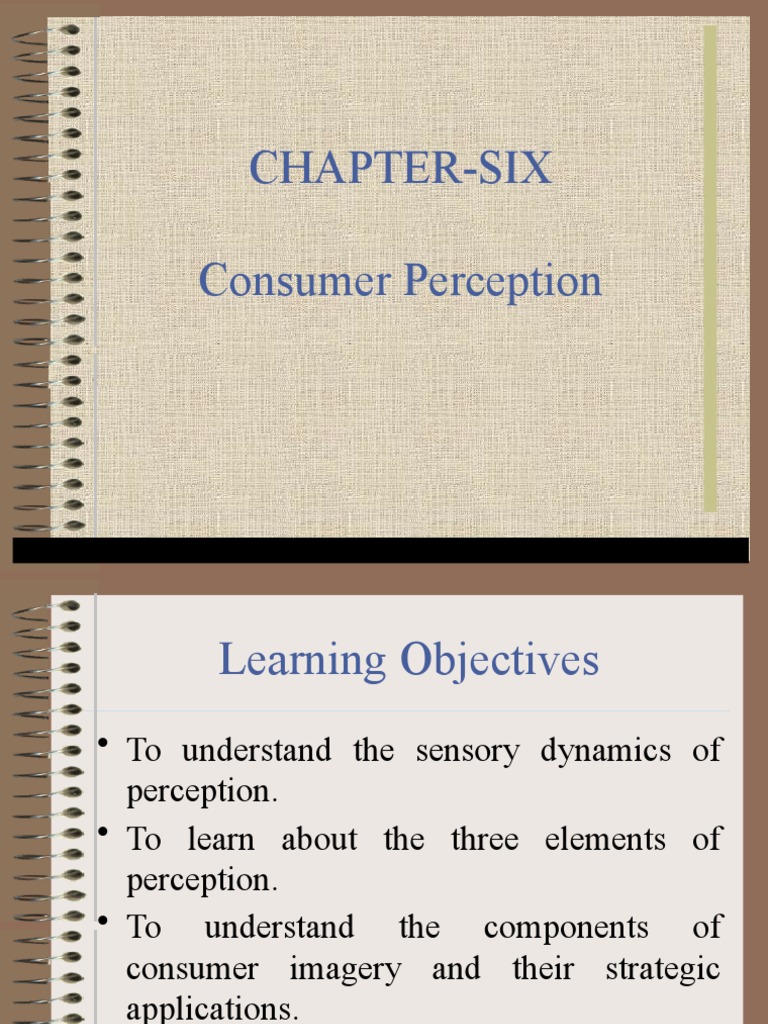 Chapter Six Consumer Perception Pdf Senses Pricing