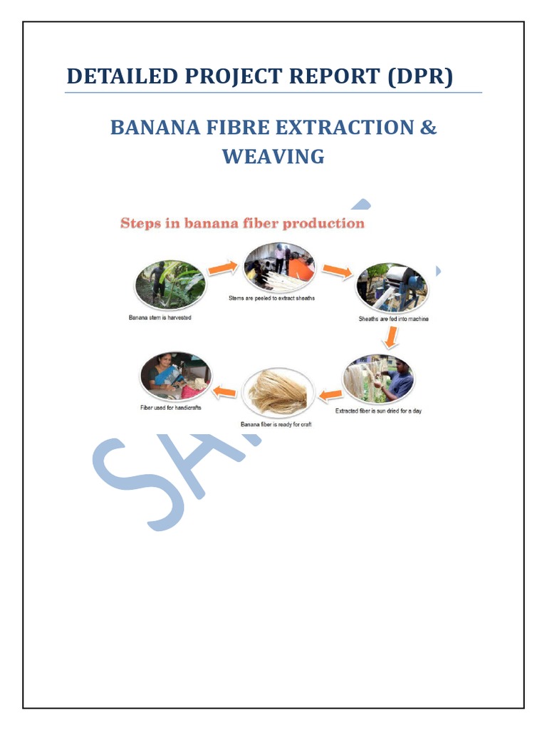 06180405202.sample DPR Banana Fibre Extraction and Weaving PDF
