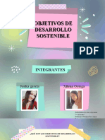 Objetivos de Desarrollo Sostenible