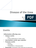 Disease of The Uvea