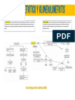 SX Nefritico y Glomerulonefritis