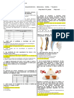 Prueba de Diagnostico Bio Septimo 2020