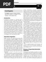 Download Organelles by Masha Nikolova SN49767542 doc pdf