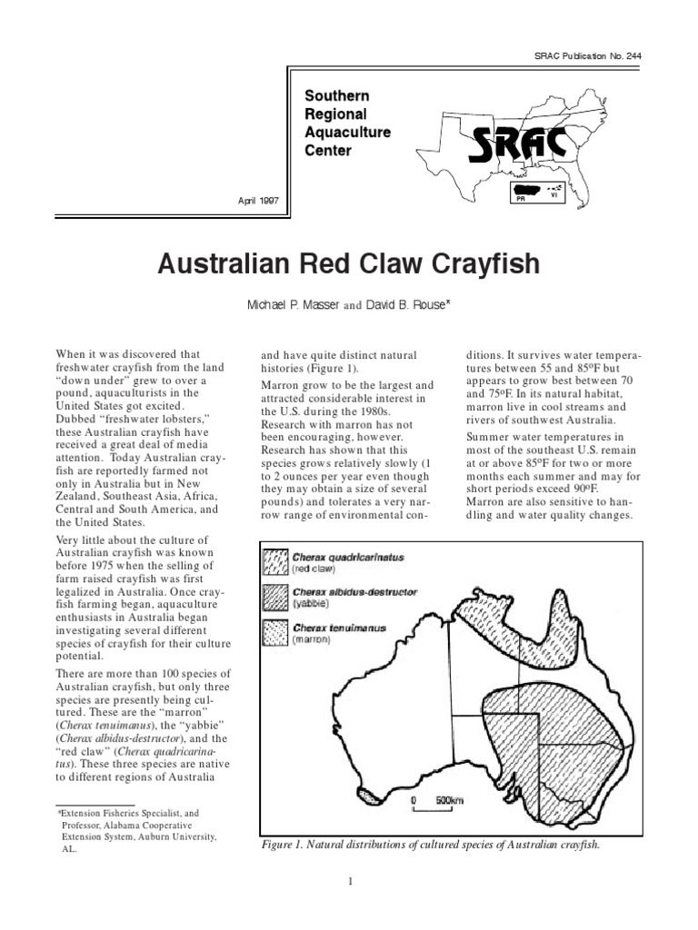 Crawfish Trap Design and Construction - SRAC Fact Sheets