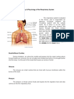 Anatomy & Physiology of The Respiratory System
