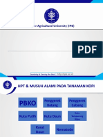 IPB PowerPoint Template - 3