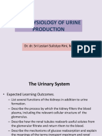 The Physiology of The Urine Production (2021)