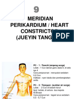 9. Perkardium_ PC