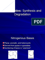 Nucleotides Revised