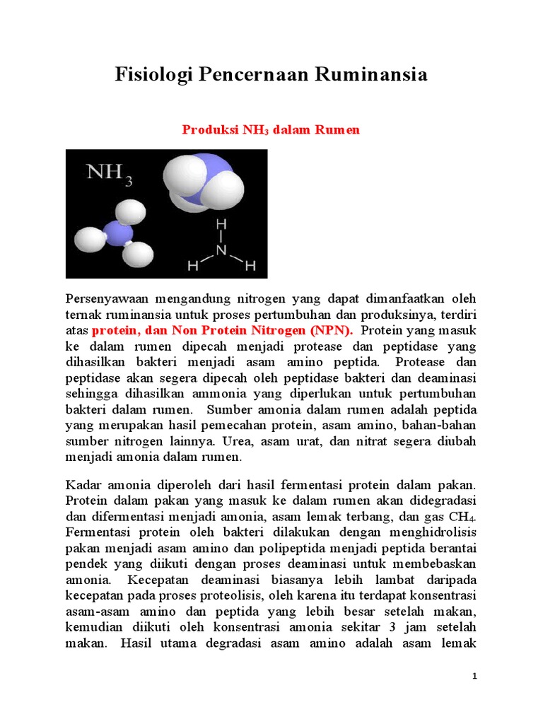 Amonia dan Sintesis Protein Mikroba Rumen | PDF | Teknologi & Rekayasa