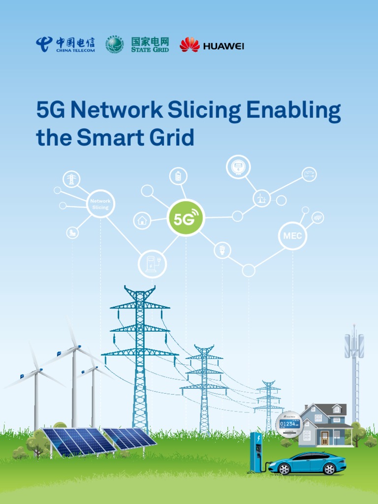 5G Network Slicing for Smart Grids | PDF | Smart Grid | Electrical Grid