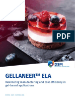 Gellaneer ELA: Maximizing Manufacturing and Cost Efficiency in Gel-Based Applications