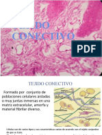 03 Tejido Conectivo Laxo