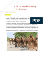 Camel Breeding: New Vision For The in Rajasthan