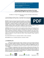 Efeito da maturação nos compostos bioativos da fruta Bunchosia glandulifera