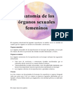 Anatomía de Los Órganos Sexuales Femeninos.