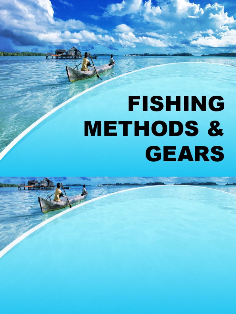 Fishing Methods & Gears PDF Fish Senses