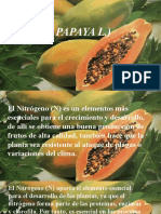 Papaya