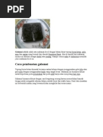 Download Galamai by tmaulana_5 SN49774533 doc pdf