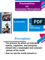 Presentation On Consumer Perception: Submitted To:-Submitted By