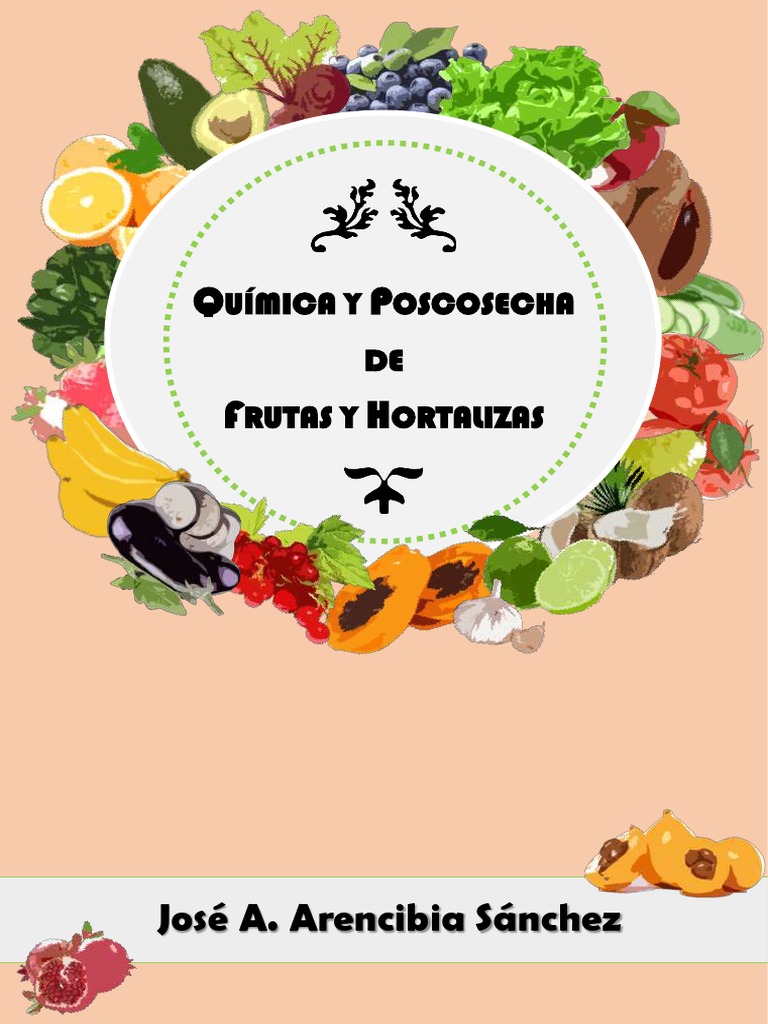 Comprar Desinfectante de frutas y verduras (unidad) Orgánico a domicilio en  Costa Rica