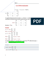 Cours Déterminants