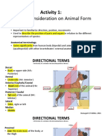 General Consideration On Animal Form: Activity 1