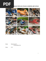 Download Perkembangbiakan Udang Lobster Air Tawar by Putra Eka SN49776235 doc pdf