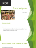 Povos indígenas