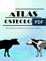 Atlas Equino Osteología