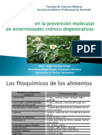 Sesión 6 Fitoquímicos_en_la_prevención_de_enfermedades Inflamatorias y cáncer I