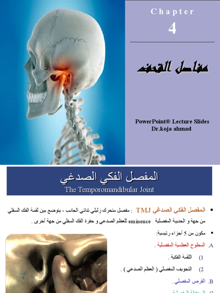 4 مفاصل القحف