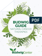 Budwig Guide 2020 Min