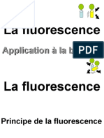 Fluorescence  2