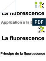 Fluorescence 2