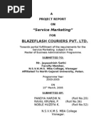 "Service Marketing": Blazeflash Couriers Pvt. LTD