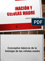 Presentando Las Células Madre