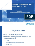 5 Dr. Carlos Dora - Who - Opportunities For Mitigation and Adaptation in Lmics