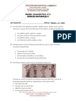 PRUEBA DIAGNÓSTICA N°3 NATURALES - 17 Febrero