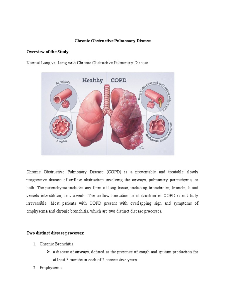 Understanding Chronic Obstructive Pulmonary Disease | PDF | Lung ...