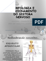 Aula 02 Ossos e Conceitos em Neuroanatomia