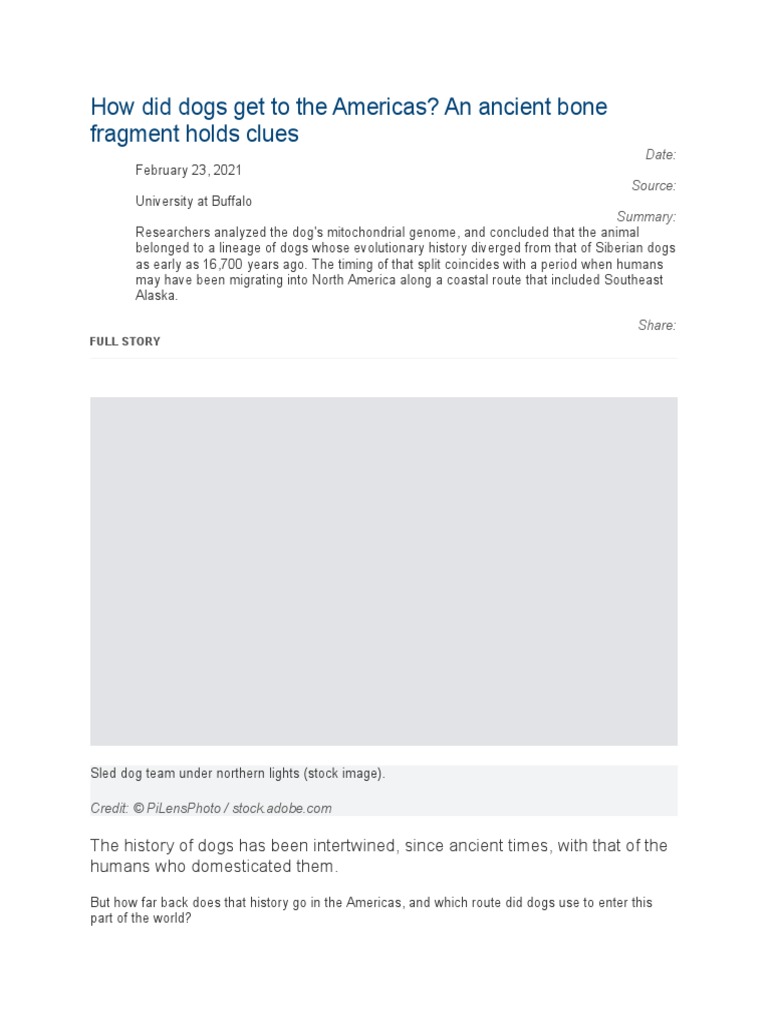 How Did Dogs Get To The Americas? An Ancient Bone Fragment Holds Clues